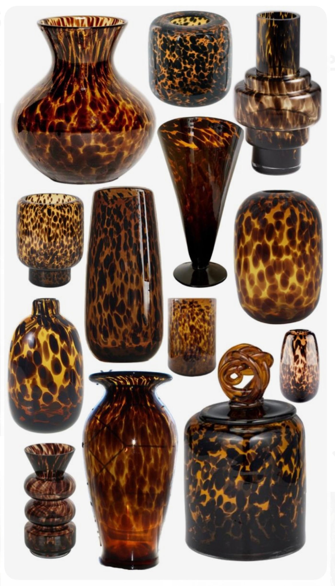 Tortoiseshell Treasures